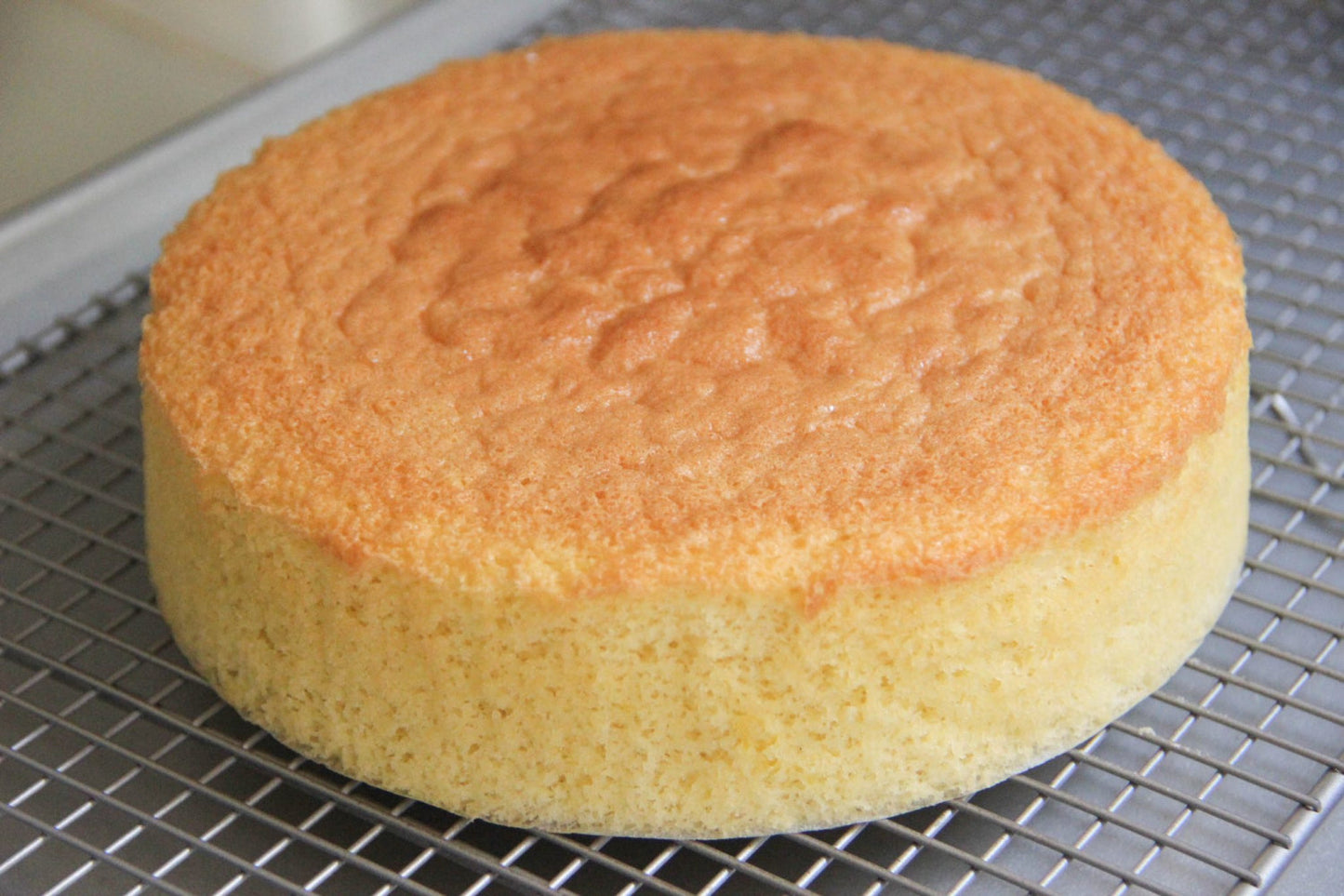 BB 9" Vanilla Round Cake Sponge